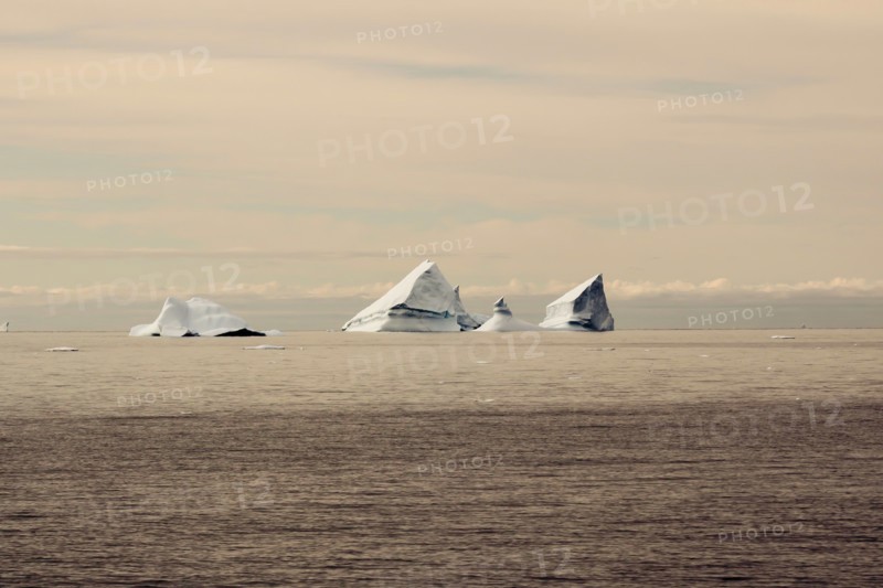 Icebergs in Greenland
