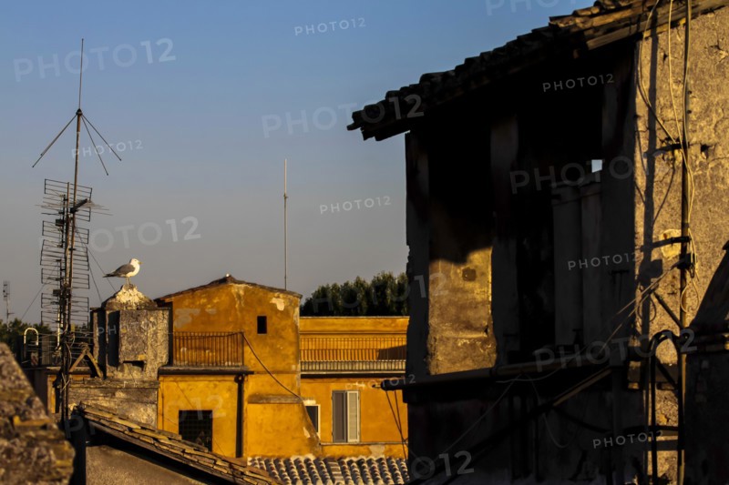 View from a hotel, Rome, Italy
