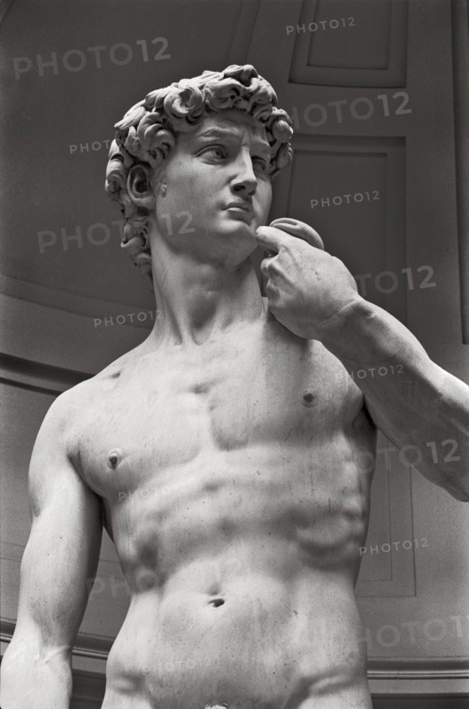 Statue of David by Michaelangelo, Cropped