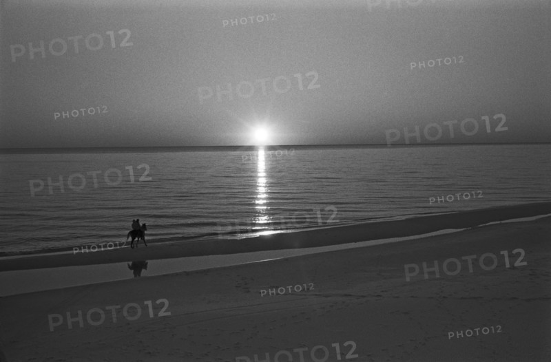Couple Riding Horse on Beach