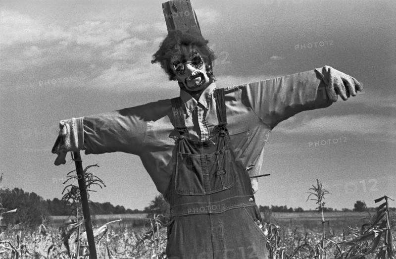 Scarecrow in Field
