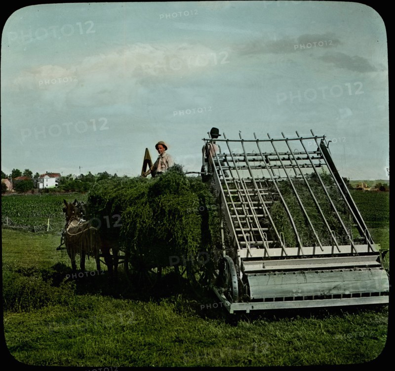 Handling Alfalfa Hay with Hay Loader on Farm of William Jennings Bryan, near Lincoln, Nebraska, USA, Magic Lantern Slide, circa 1910