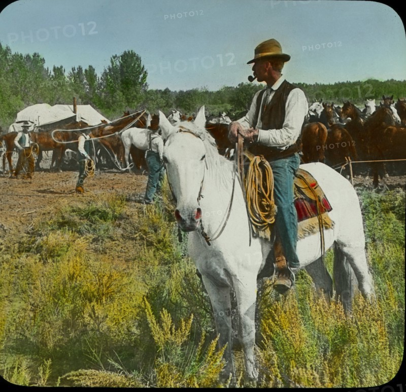 Cowboys, Bronco Corral and Camps, Montana, USA, Magic Lantern Slide, circa 1910