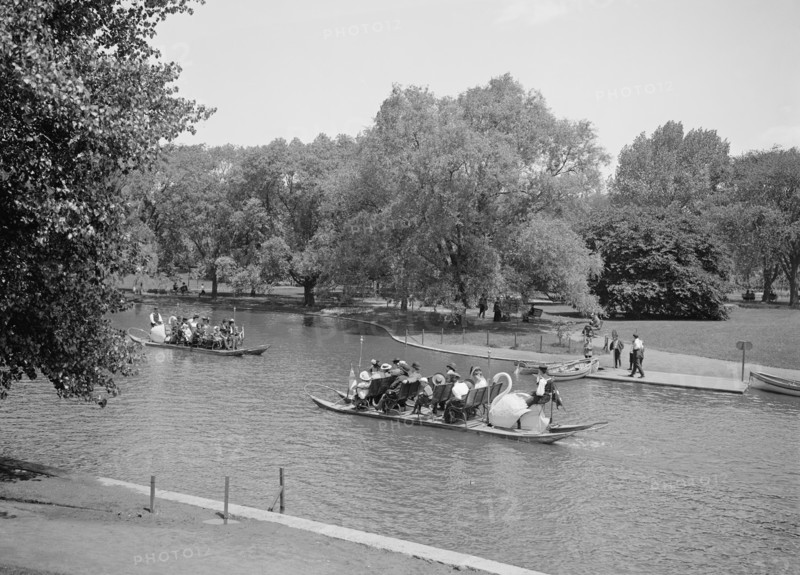 Swan boats, Public Gardens, Boston, Massachusetts, USA, Detroit Publishing Company, 1905