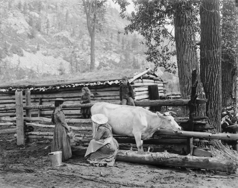 Mountain Milk Maids, Colorado, USA, William Henry Jackson for Detroit Publishing Company, 1900