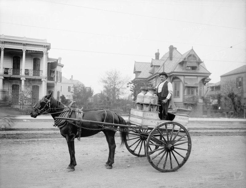 Man Riding Milk Cart, New Orleans, Louisiana, USA, Detroit Publishing Company, 1905