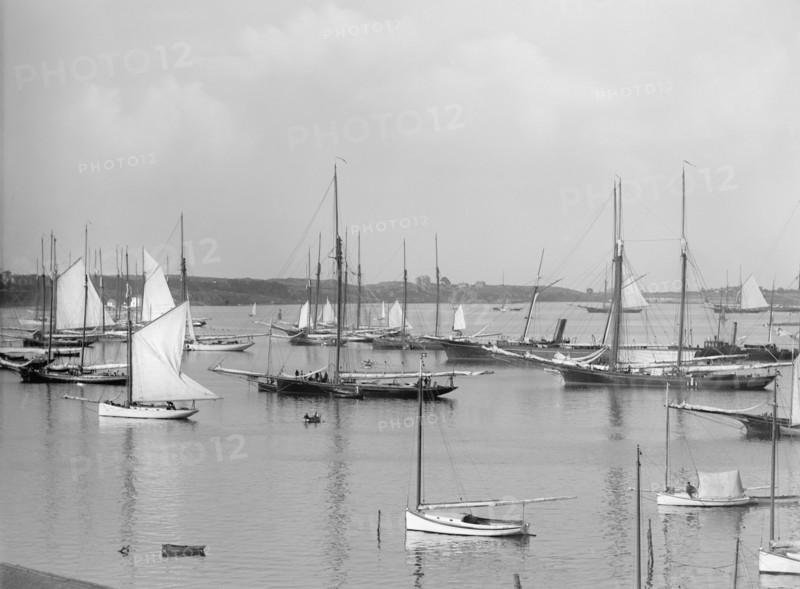 Fleet of New York Yacht Club, Newport Harbor, Newport, Rhode Island, USA, Detroit Publishing Company, 1895