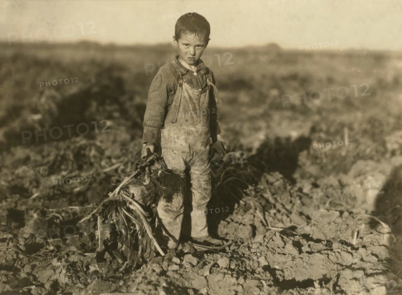 Portrait of 6-year-old Boy Pulling Beets on Parent's Farm, Sterling, Colorado, USA, circa 1915