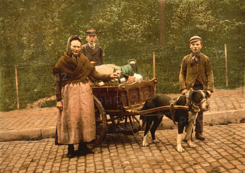 Milk Sellers, Brussels, Belgium, Photochrome, Detroit Publishing Company, 1900