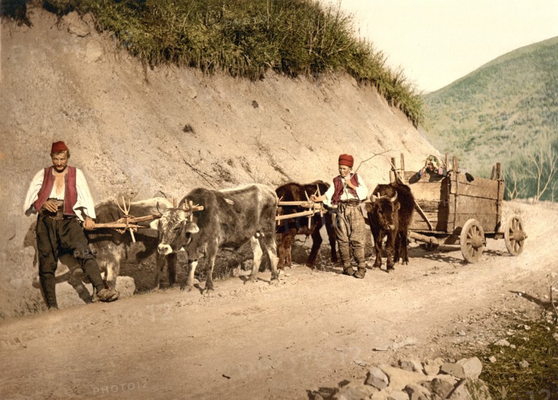 Peasants and Wagon, Bosnia, Austro-Hungary, Photochrome Print, Detroit Publishing Company, 1900