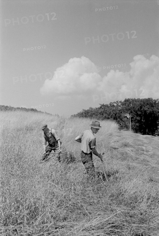 Workers Cutting Hay in Field, Windsor County, Vermont, USA, Arthur Rothstein for Farm Security Administration (FSA), September 1937