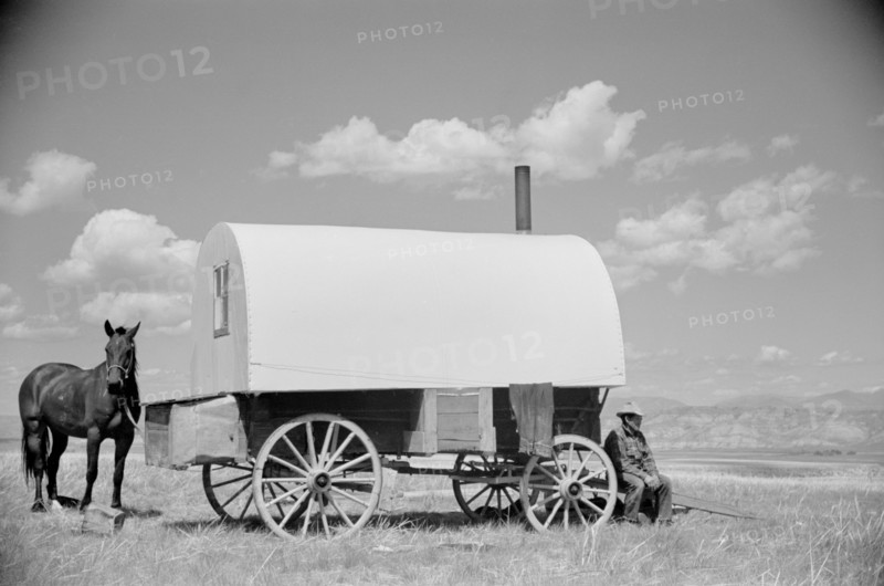 Sheepherder and Chuck Wagon, Madison County, Montana, USA, Arthur Rothstein for Farm Security Administration (FSA), July 1939