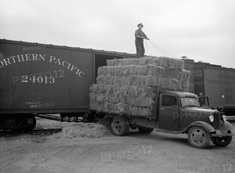 Unloading Bales of Hay near Dickson, North Dakota, USA, Arthur Rothstein for Farm Security Administration (FSA), July 1936