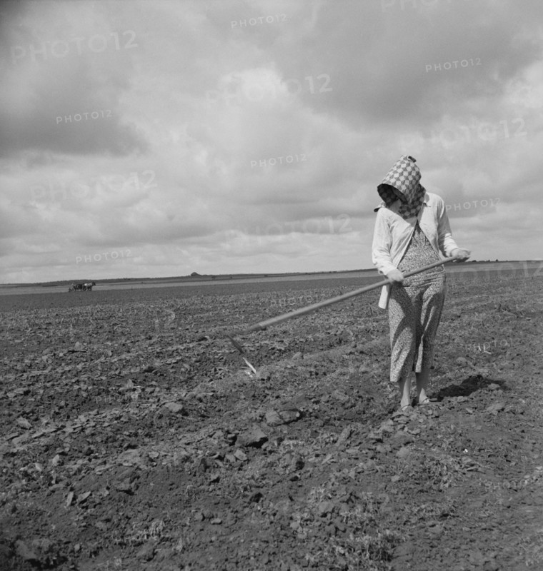 Wife of Tenant Farmer Hoeing Soil, Texas, USA, Dorothea Lange for Farm Security Administration, June 1937