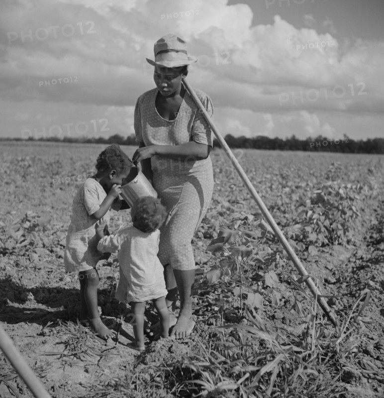 Woman giving her two Children Water while Hoeing Cotton, Allen Plantation Cooperative, near Natchitoches, Louisiana, USA, Marion Post Wolcott for Farm Security Administration, July 1940