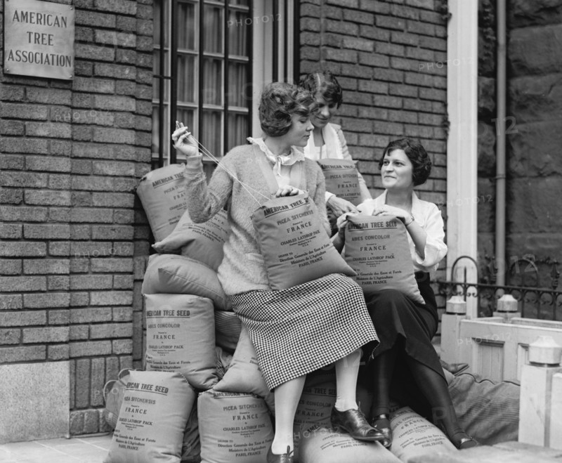 Three Young Women with Sacks of Tree Seed, American Tree Association, Washington DC, USA, National Photo Company, 1923