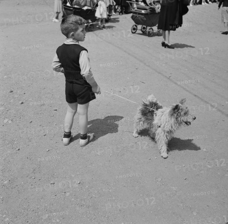 Small Boy with Dog on Leash, Southington, Connecticut, USA, Fenno Jacobs for Office of War Information, May 1942