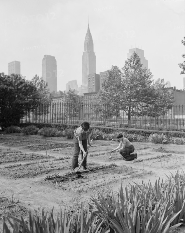 Two Children Working in School Victory Garden, First Avenue between Thirty-Fifth and Thirty-Sixth Streets, New York City, New York, USA, Edward Meyer for Office of War Information, June 1944