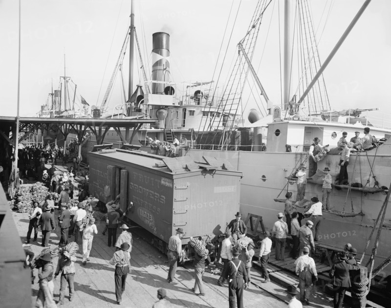 Workers Unloading Bananas From Steamer, New Orleans, Louisiana, USA, Detroit Publishing Company, 1905