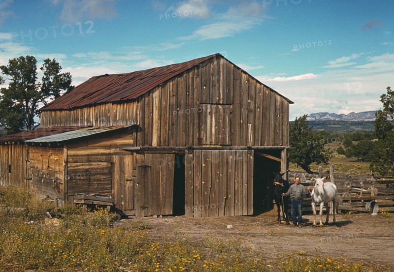 Bill Stagg, Homesteader, Portrait with Horses in front of his Barn, Pie Town, New Mexico, USA, Russell Lee for Farm Security Administration - Office of War Information, October 1940