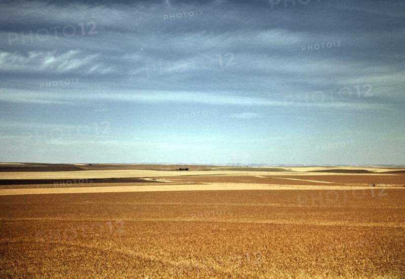 Wheat Field, Walla Walla, Washington, USA, Russell Lee for Farm Security Administration - Office of War Information, July 1941