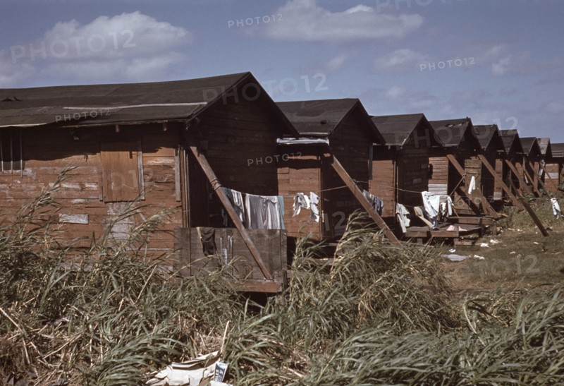 Row of Homes Condemned by Board of Health that are Still Occupied by African-American Migratory Workers, Belle Glade, Florida, USA, Marion Post Wolcott for Farm Security Administration, January 1941
