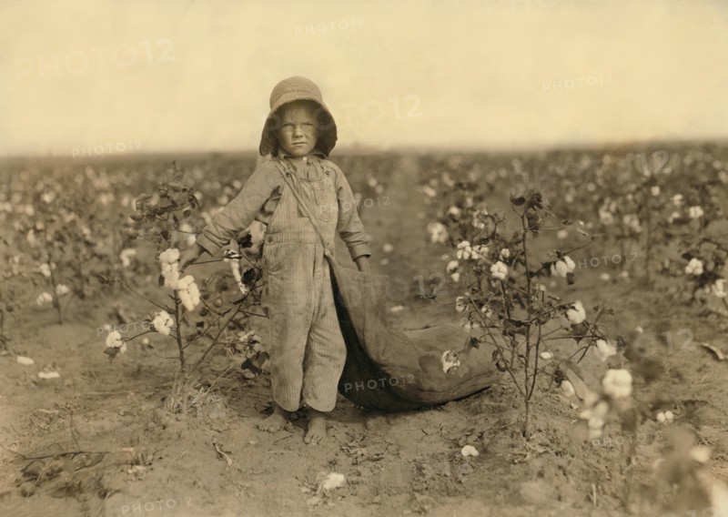 Harold Walker, 5 years old, Full-Length Portrait, Cotton Picker, Comanche County, Oklahoma, USA, Lewis Hine for National Child Labor Committee, October 1916
