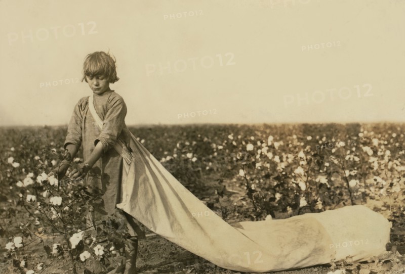 Norma Lawrence, 10 years old, Full-Length Portrait, Cotton Picker, Picks 100 to 150 pounds of Cotton per day, Comanche County, Oklahoma, USA, Lewis Hine for National Child Labor Committee, October 1916