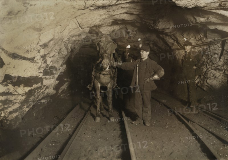 Young Leader and Driver, Shaft #6, Pennsylvania Coal Company, South Pittston, Pennsylvania, USA, Lewis Hine for National Child Labor Committee, January 1911