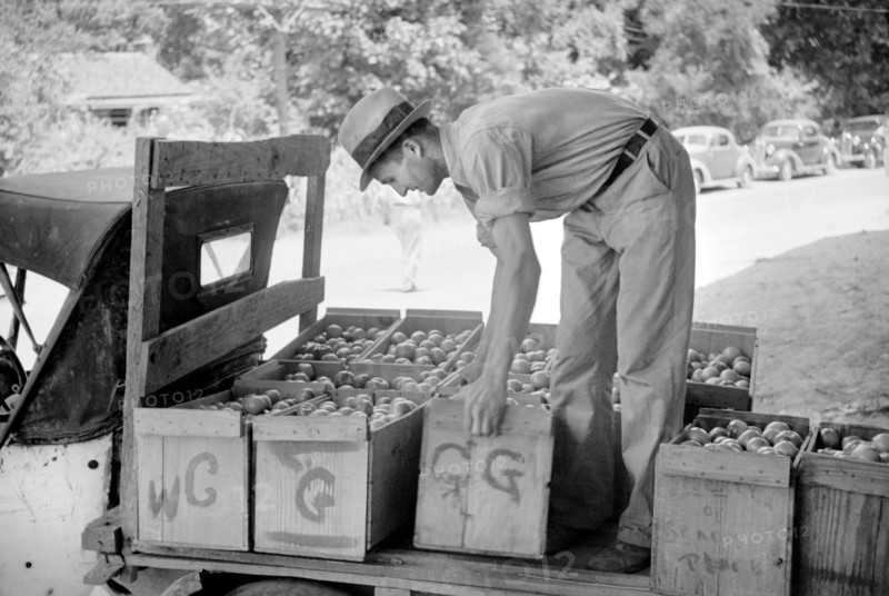 Man Unloading Farm Tomatoes from Truck at Packing Depot, Terry, Mississippi, USA, Carl Mydans for U.S. Resettlement Administration, June 1936