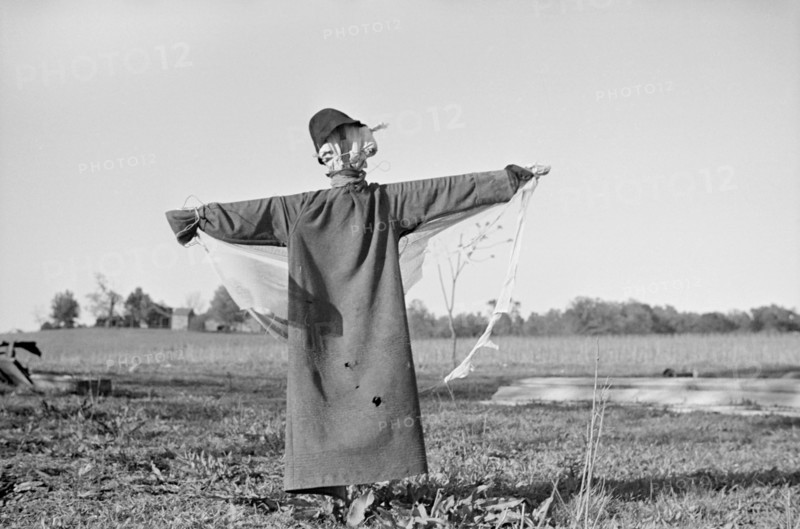 Scarecrow in Field, North Carolina, USA, John Vachon for Farm Security Administration, April 1938