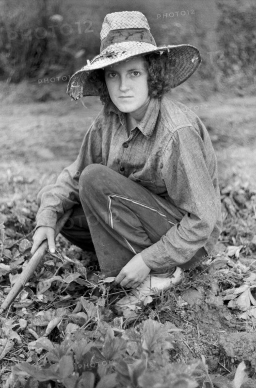 Migrant Worker in Strawberry Field, Berrien County, Michigan, USA, John Vachon for Farm Security Administration July 1940