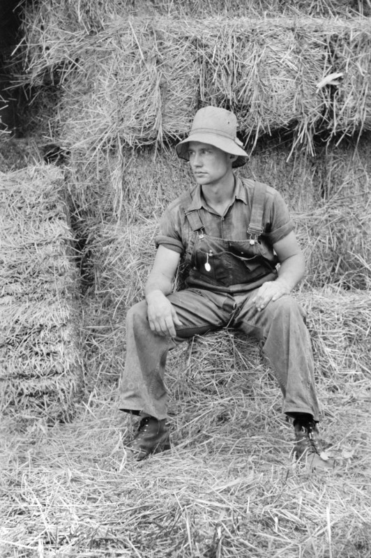Hired Hand, Brandtjen Dairy Farm, Dakota County, Minnesota, USA, Arthur Rothstein for Farm Security Administration, September 1939