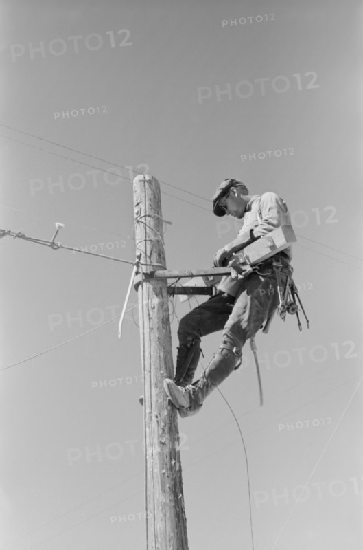 Lineman on Telephone Pole, Casa Grande Valley Farms, Pinal County, Arizona, USA, Russell Lee, Farm Security Administration, April 1940