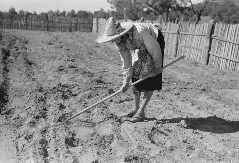 Doris Caudill Working in her Garden, Pie Town, New Mexico, USA, Russell Lee, Farm Security Administration, June 1940