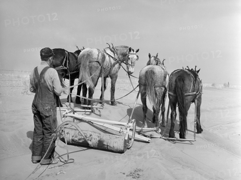 Removing Drifts of Soil Blocking Highway near Guymon, Oklahoma, USA, Arthur Rothstein, Farm Security Administration, March 1936