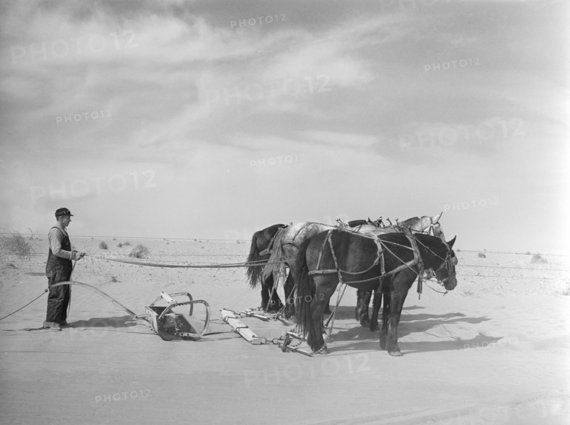 Removing Drifts of Soil Blocking Highway near Guymon, Oklahoma, USA, Arthur Rothstein, Farm Security Administration, March 1936