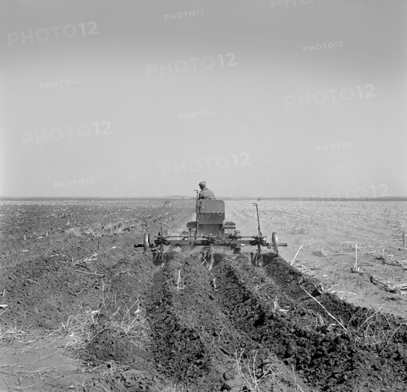 Farmer Listing his Field under Wind Erosion Control Program, Receiving 20 cents per Acre for his Work, Liberal, Kansas, USA, Arthur Rothstein, Farm Security Administration, March 1936