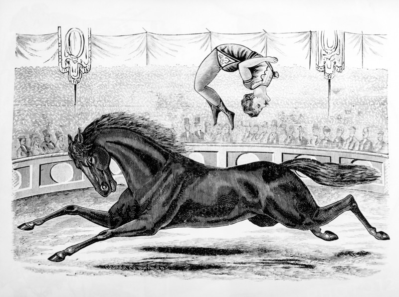 Bareback Horse Rider at Circus, 19th Century Engraving