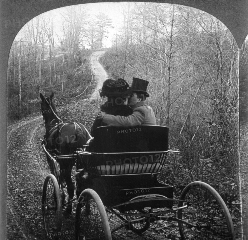 Man and Woman in a Horse Drawn Carriage, Rear View, Single Image of Stereo Card, circa 1901