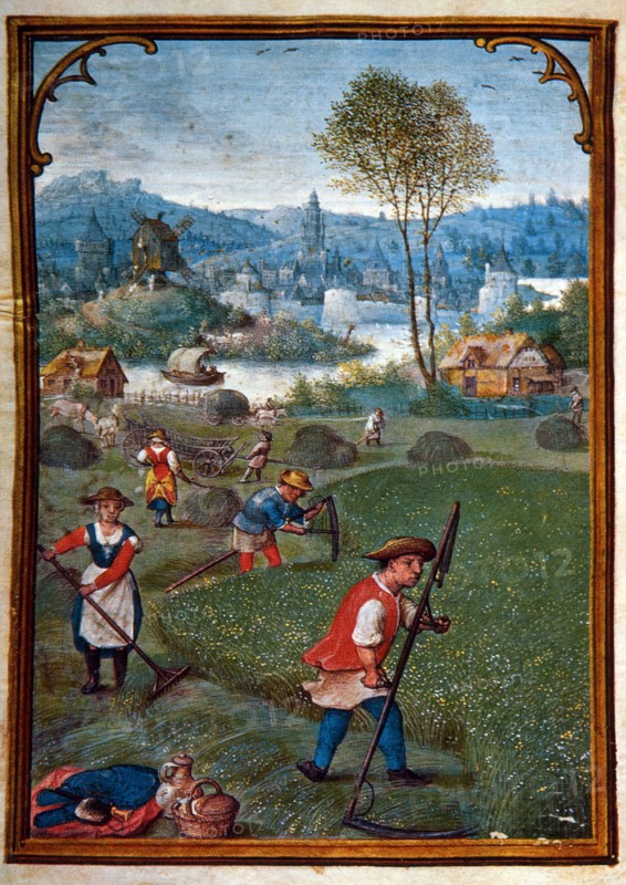 Farmers Scything Field, June, Illustration from Flemish Prayer Book, Simon Bening, 1500's