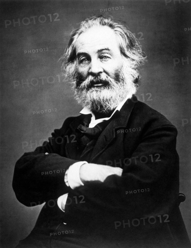 Walt Whitman (1819-1892), Portrait by Mathew Brady, circa 1866