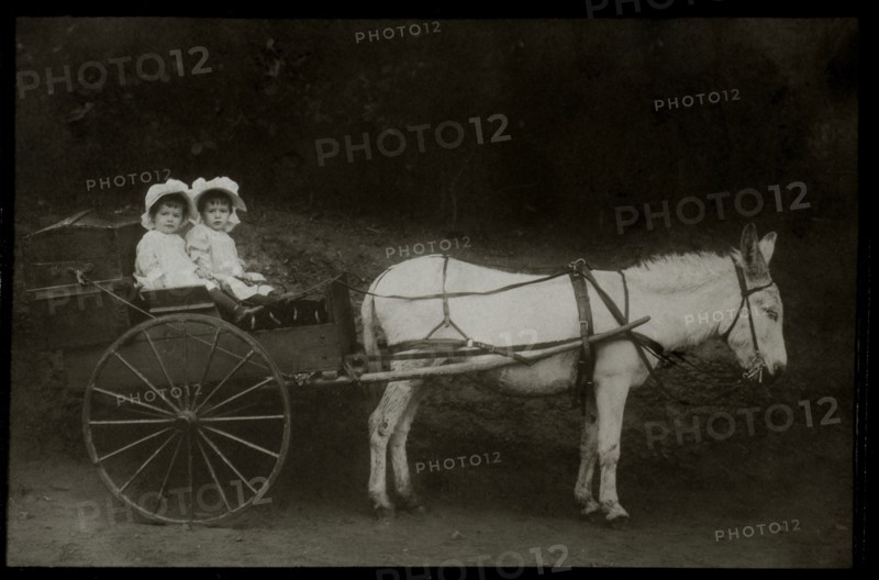 Two Young Girls in Donkey-Drawn Wagon, circa 1907