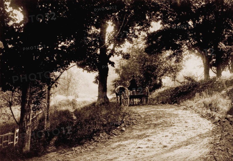 Man in Horse-Drawn Wagon Traveling Along Rural Road, USA, circa 1880
