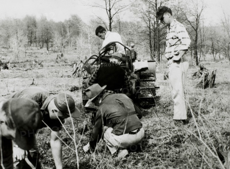 Civilian Conservation Corps Workers Reforesting Waste Land, Allegheny National Forest, Pennsylvania, USA, circa 1934