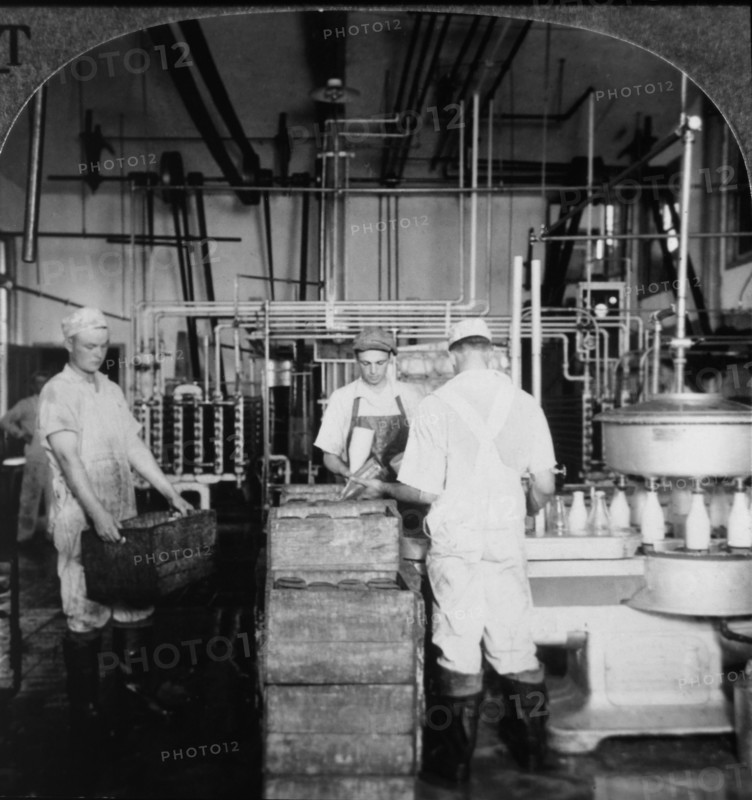 Workers in Milk Bottling Plant, Cohocton, New York, USA, Single Image of Stereo Card, circa 1900