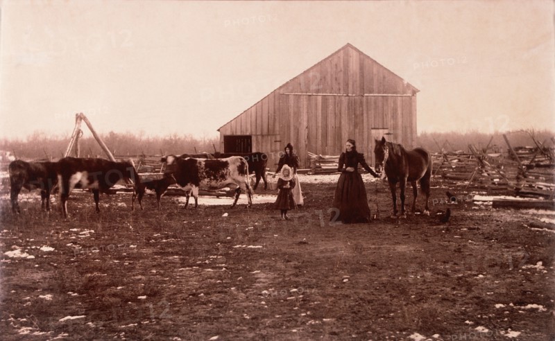 Farm Scene with Family and Livestock, circa 1910