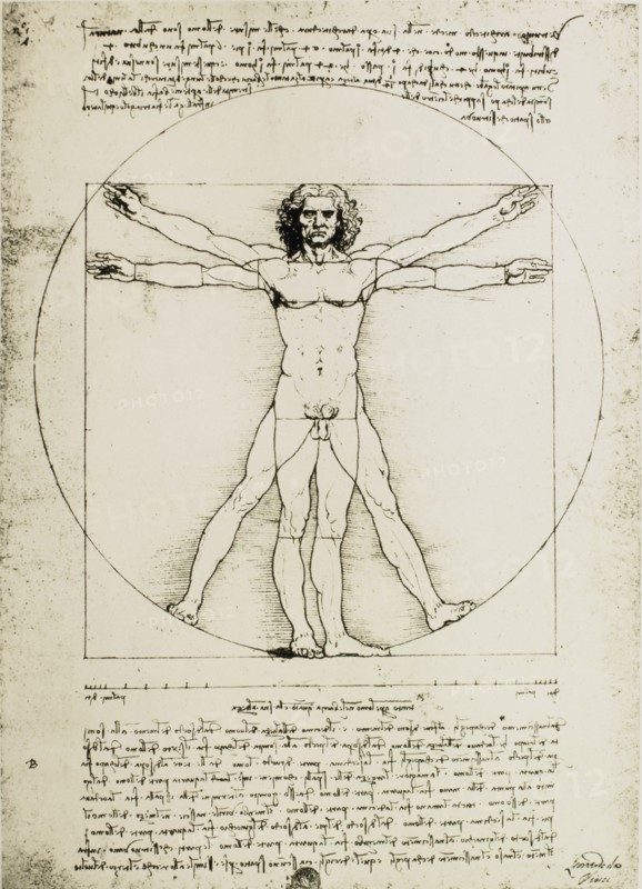 Vitruvian Man, Study of Proportions, Leonardo Da Vinci, Drawing, circa 1490