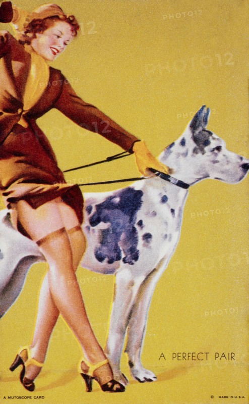 Sexy Woman Walking Large Great Dane, "A Perfect Pair", Mutoscope Card, 1940's