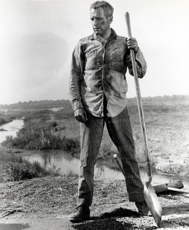 Paul Newman on-set of the Film, "Cool Hand  Luke", 1967